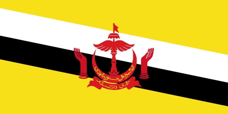 Bruneian Visa Check List